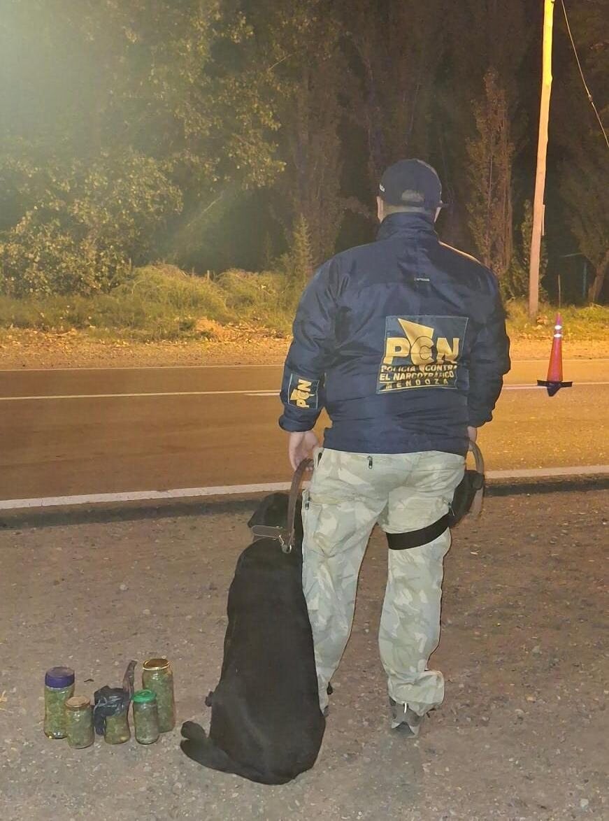 9842a13c-9639-4ccc-94c0-d9576fe444b9