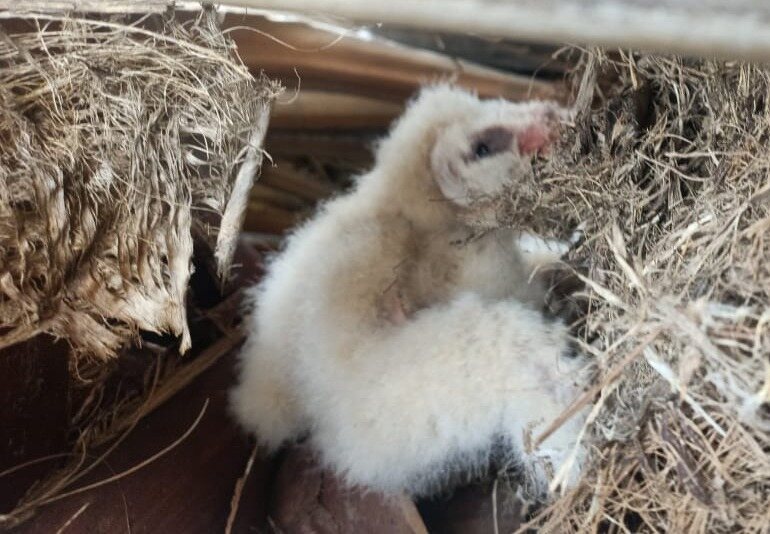 WhatsApp-Image-2026-04-28-at-16.32.43-1