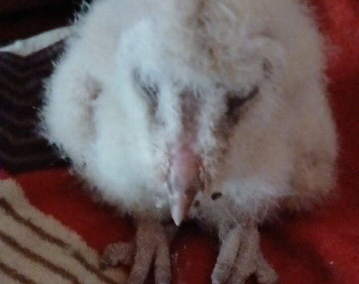 WhatsApp-Image-2026-04-28-at-16.32.43