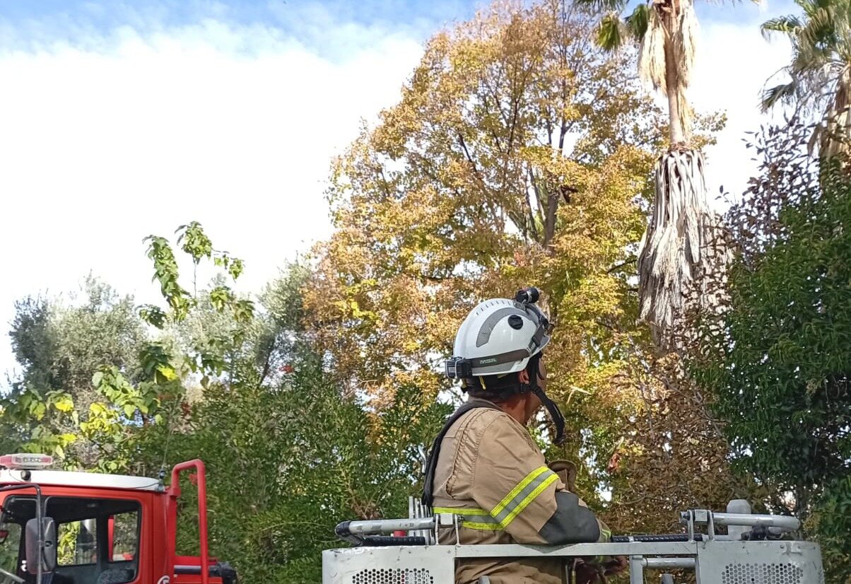 WhatsApp-Image-2026-04-28-at-16.32.44-1