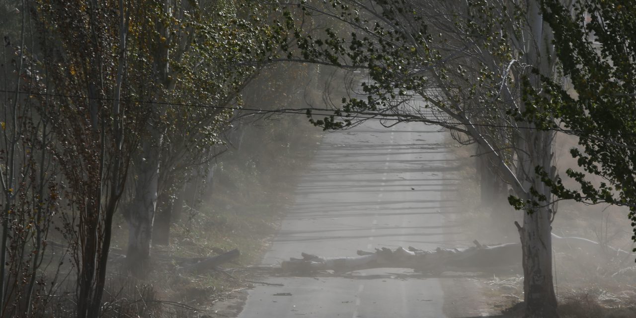 Lunes 2 de marzo: se suspenden las clases presenciales en Malargüe